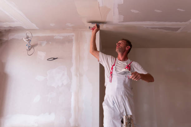 Best Ceiling Drywall Installation  in Rosedale, LA